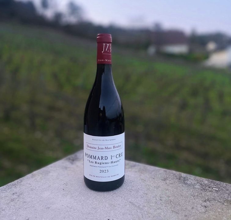 Bouley Pommard Les Rugiens-Hauts 2023 on a stone wall above the vines