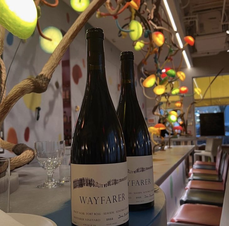 Two bottles of Wayfarer Pinot Noir on a bar under coloured glass fruit