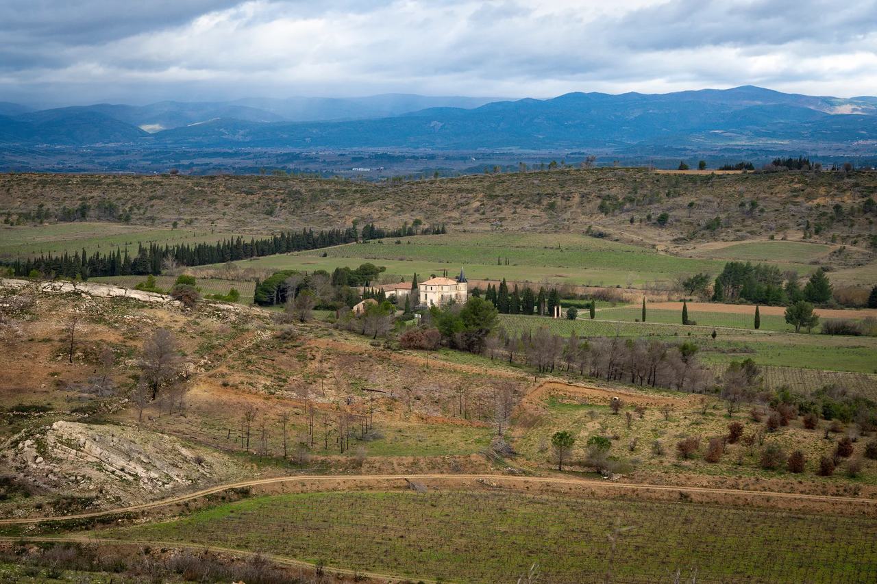 The château among vineyards and garrigue, hills on the horizon.