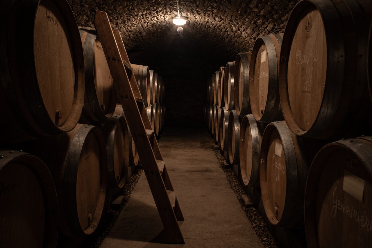 Rows of barrels in a vaulted stone cellar.