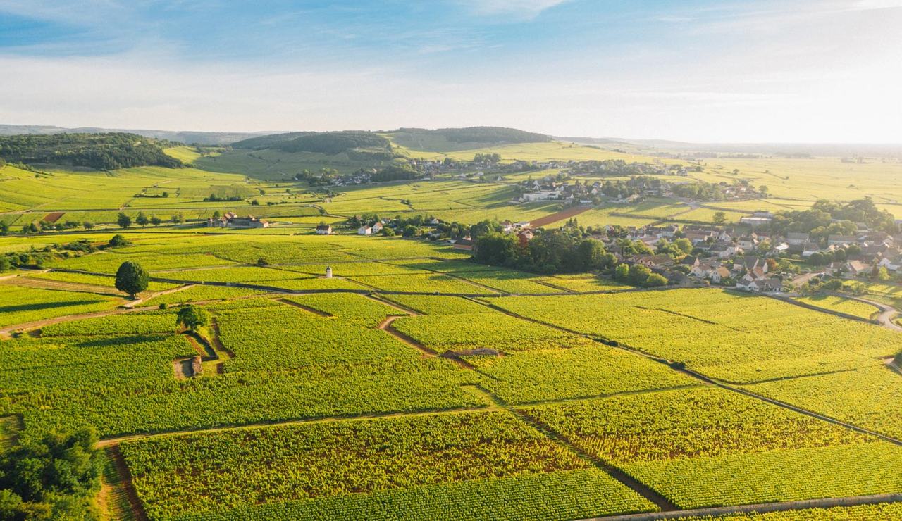 Walled vineyards and a village on the Côte de Beaune seen from above in early light