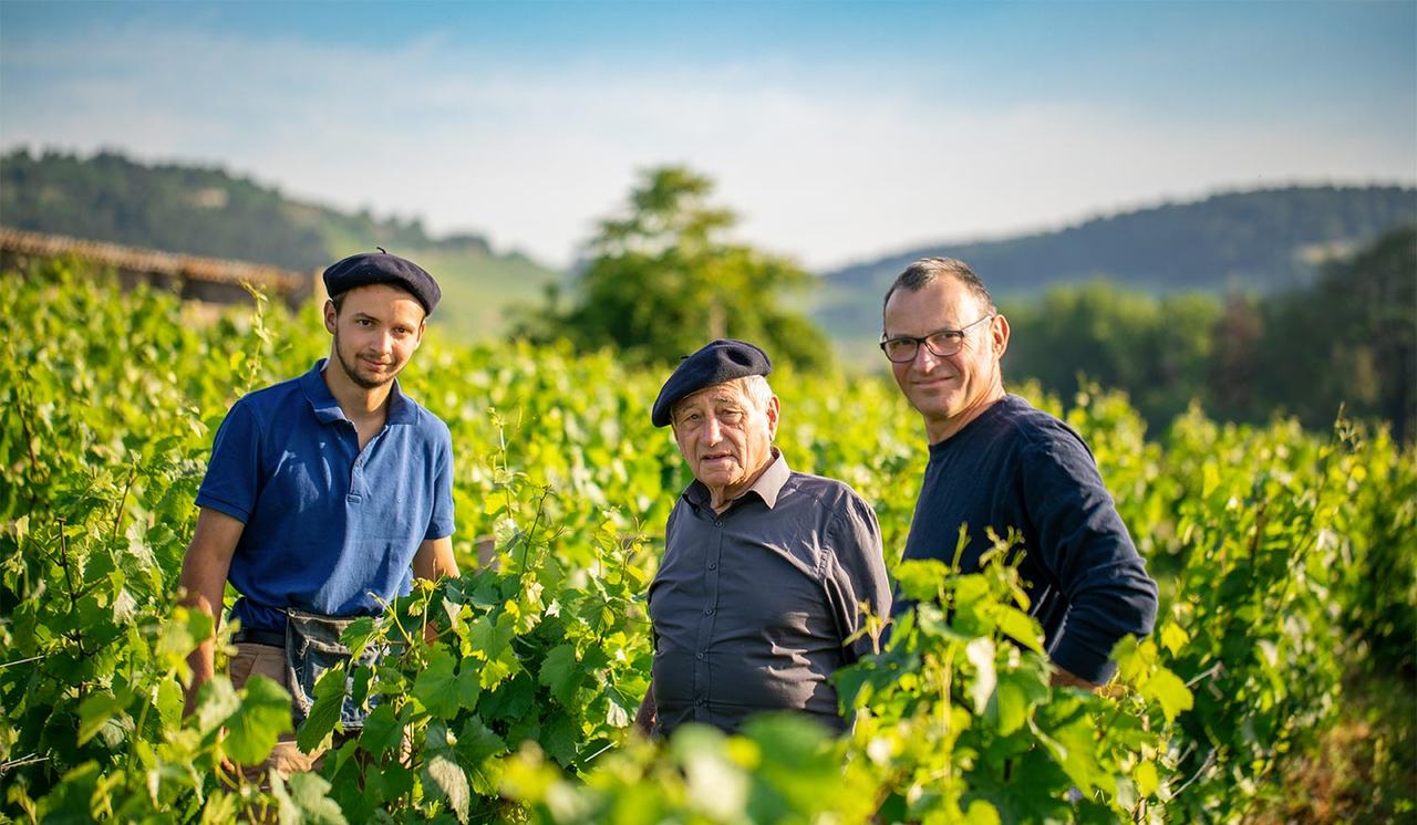 Three men of the family, young, old and middle-aged, standing in green vines