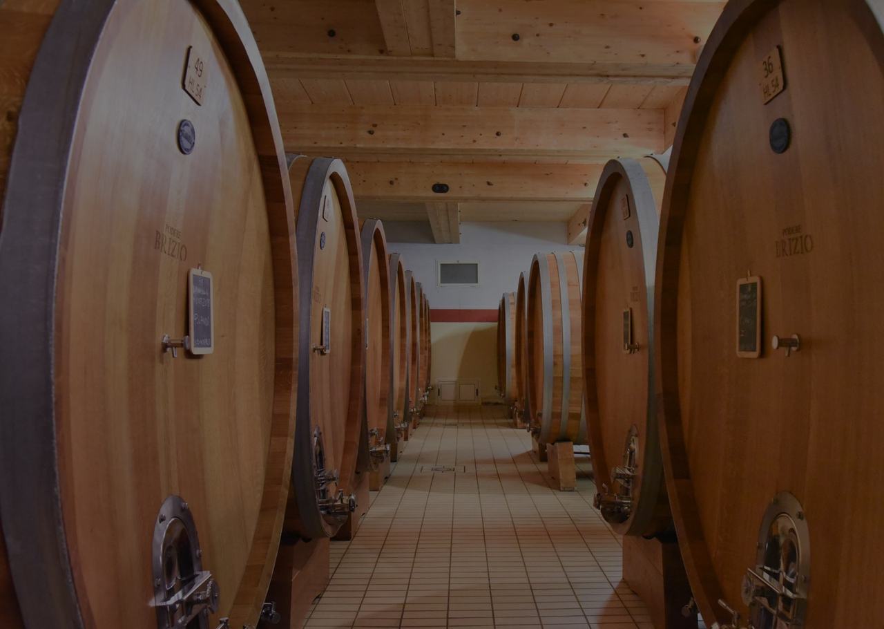 Rows of large oak casks in the cellar.
