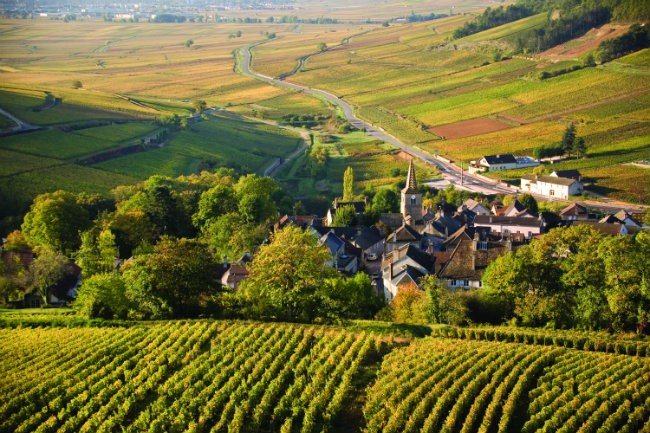 A Côte de Beaune village among the vines in autumn light