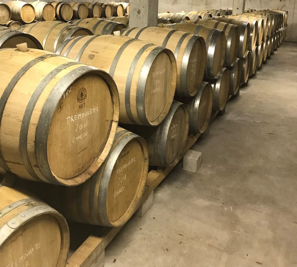 Rows of barrels in the cellar, the nearest chalked with the plot name Trémoulette