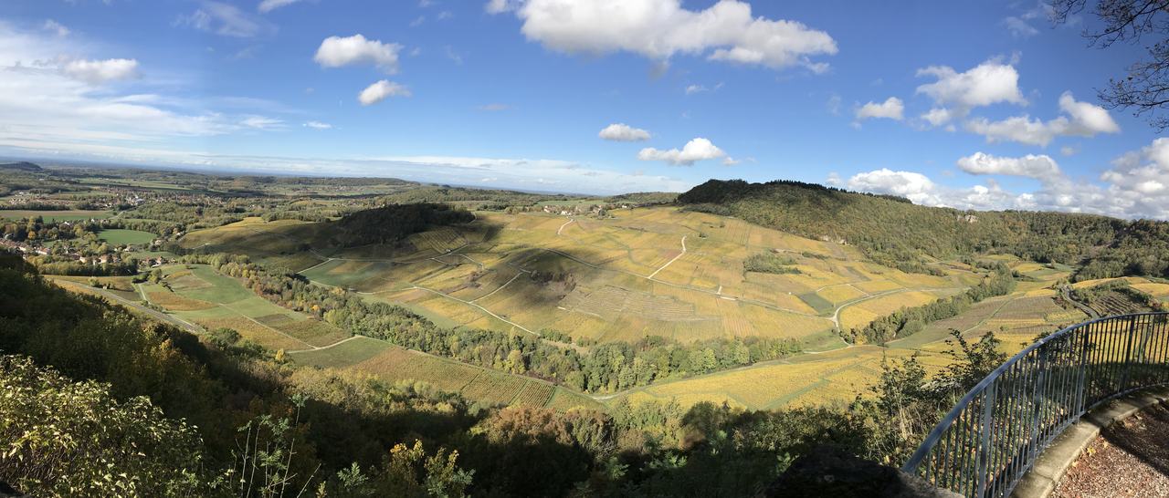 Panorama of the vineyard slopes below Château-Chalon in early autumn