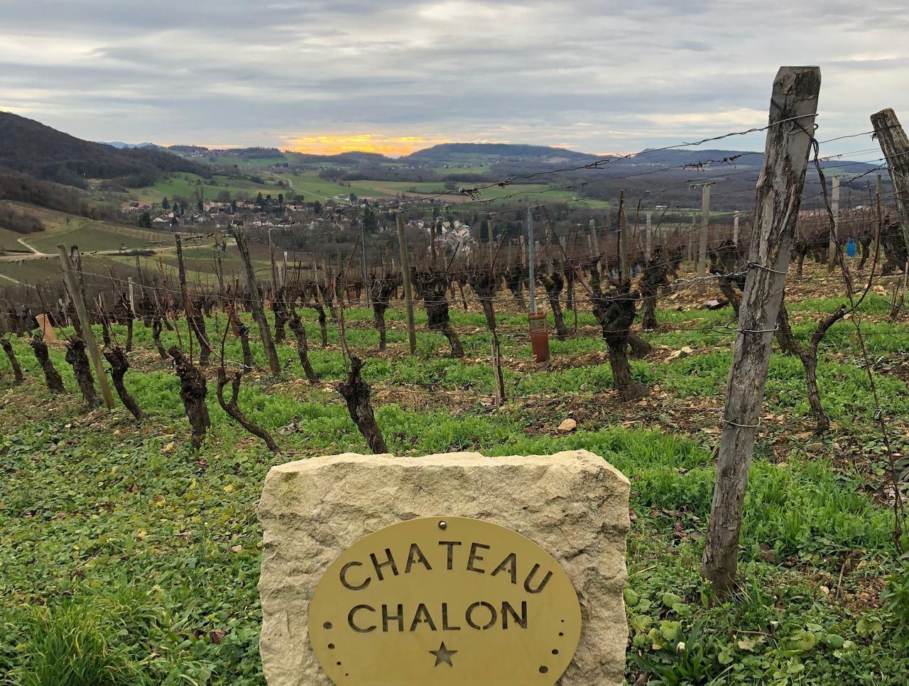 A stone marker reading Château Chalon among old vines in winter, the village and hills behind