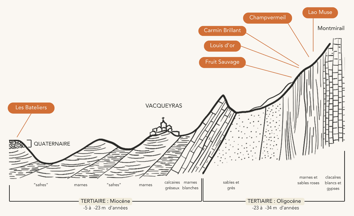 Hand-drawn cross-section from the plain below Vacqueyras up to Montmirail: Miocene marls and safres on the plain, Oligocene sands, marls and limestones standing vertical on the hill, with Les Bateliers, Fruit Sauvage, Louis d’Or, Carmin Brillant, Champvermeil and Lao Muse each pinned to its layer