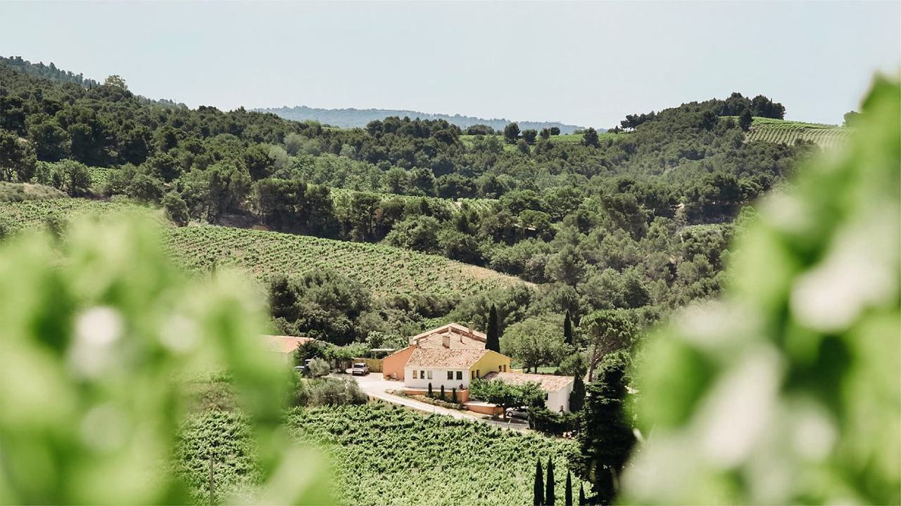 The Clos de Caveau farmhouse in its hidden valley, vines on the slopes around it and the wooded hills of the Dentelles de Montmirail behind