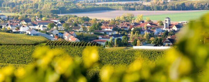 Celles-sur-Ource seen across the vines