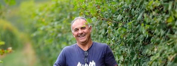 Renato Corino smiling between rows of vines