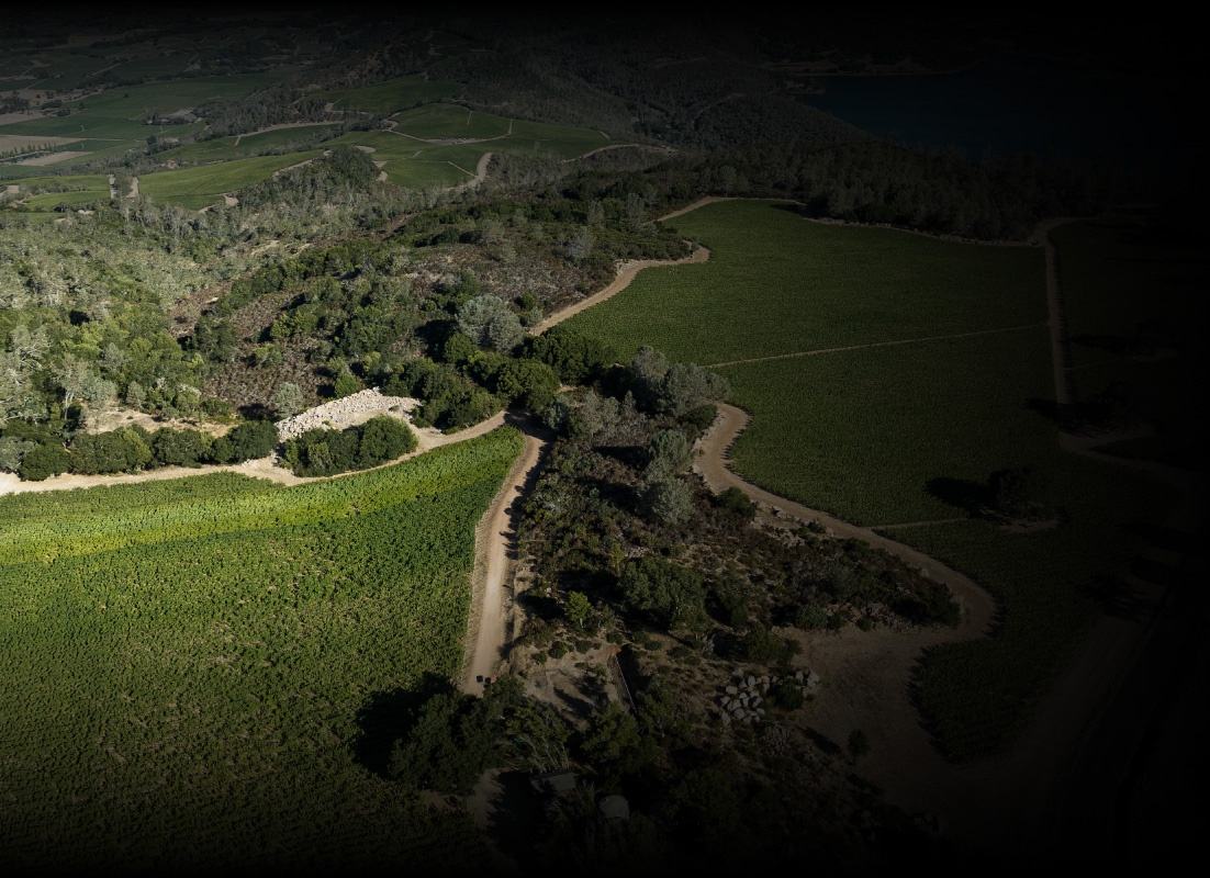 Aerial view of the Montagna vineyard, small blocks of vines cut into oak and scrub on Pritchard Hill.