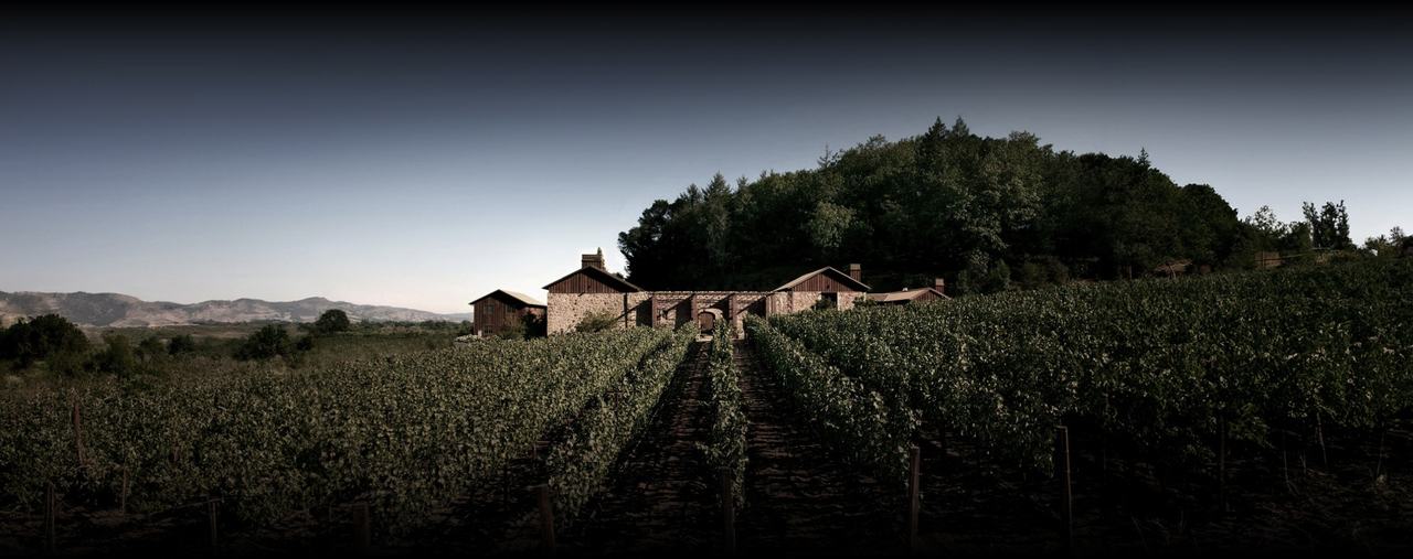 Rows of Cabernet running up to the stone winery buildings at Rutherford, with a wooded knoll behind.