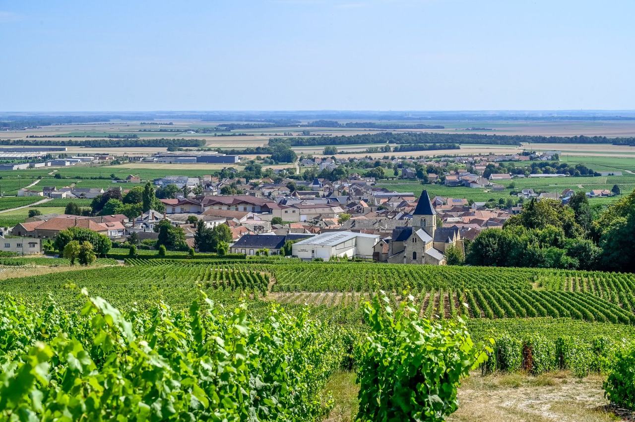 Oger and its church seen across the vines of the Côte des Blancs