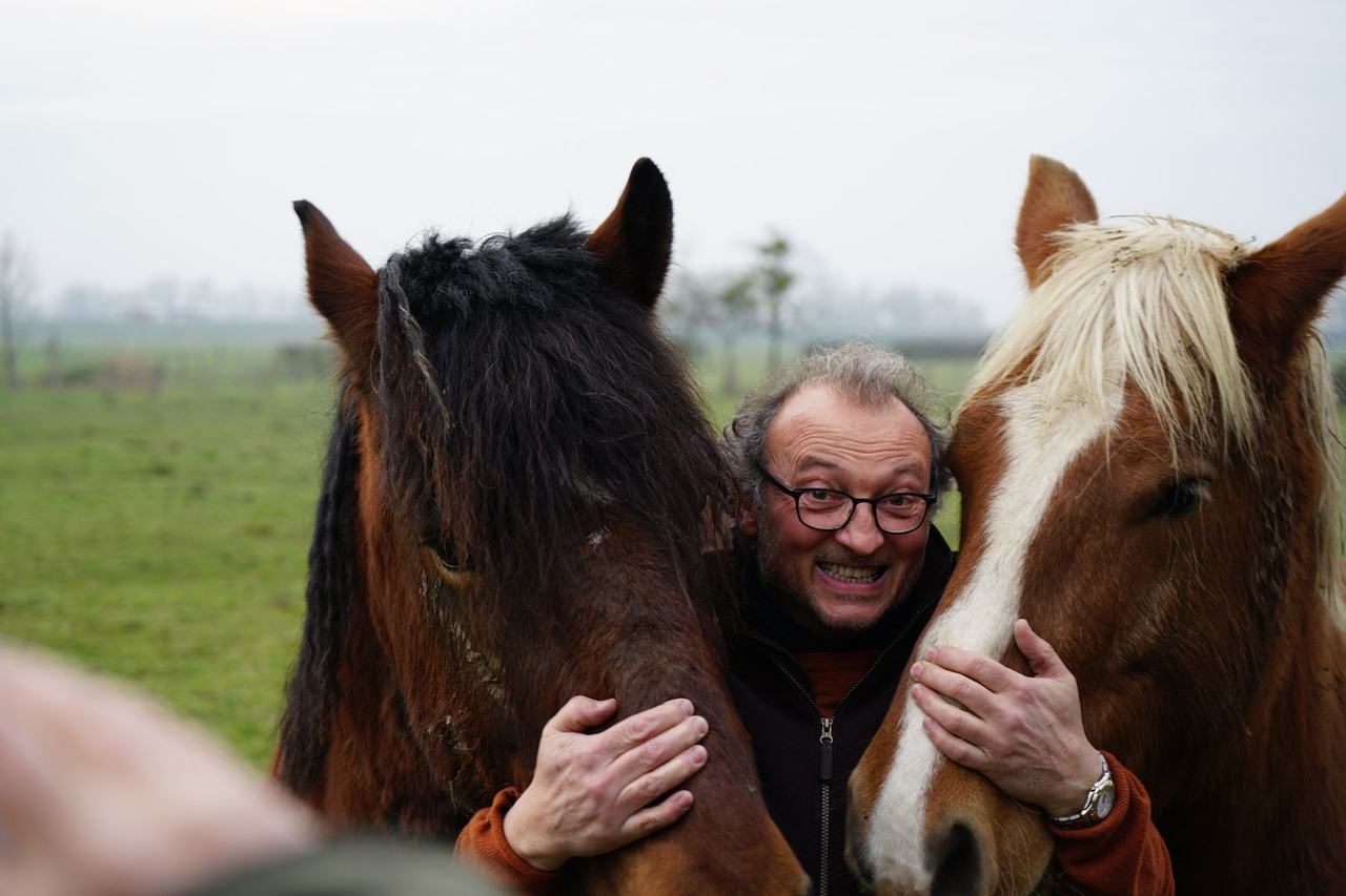 Two draught horses in harness pulling a plough between rows of vines at Domaine Devevey, a man guiding them from behind
