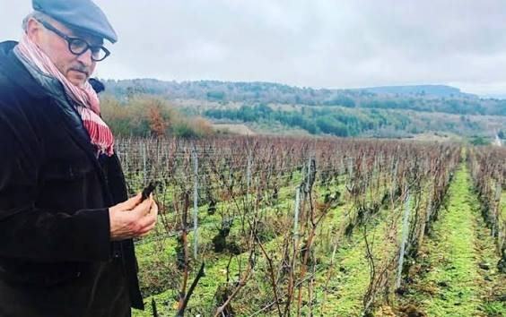 Jean-Yves Devevey standing in a row of vines in summer, checking the canopy