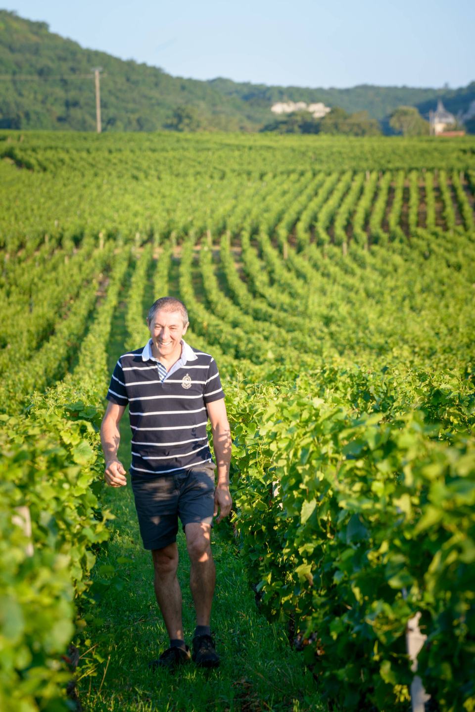A grower in a striped shirt walking between rows of vines, with the wooded hill above Chambolle behind.