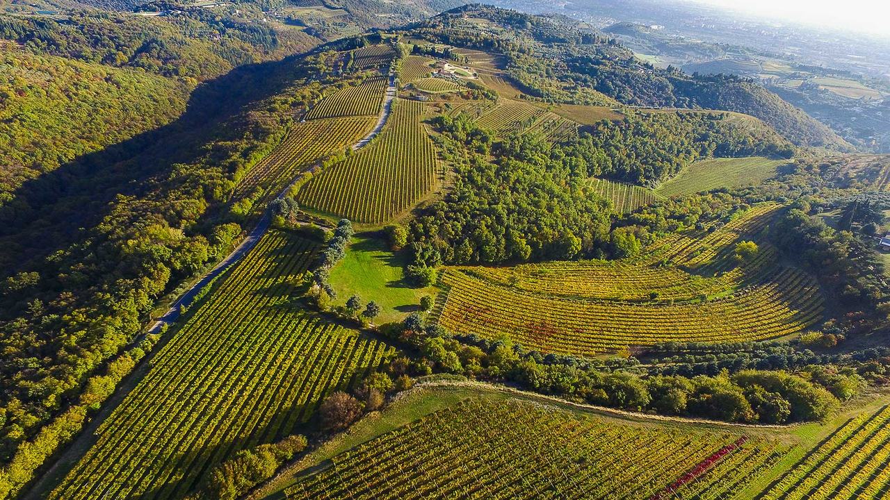 Vineyards and woods folded over the hills of the Valpolicella, seen from the air