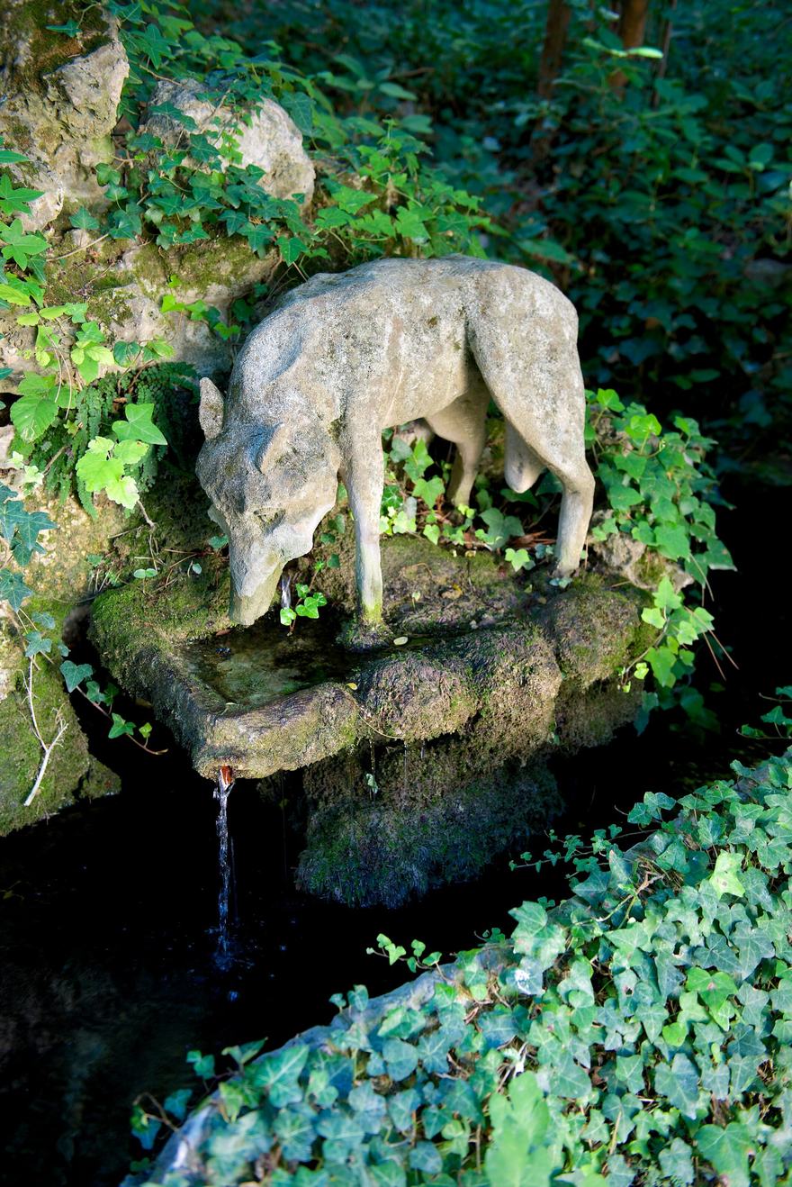 A stone wolf drinking at the spring that gives the estate its name, ivy all around
