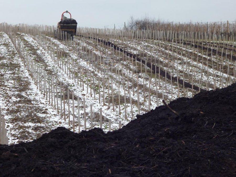A heap of dark compost at the edge of young vines in light snow, a small tractor spreading it between the rows.