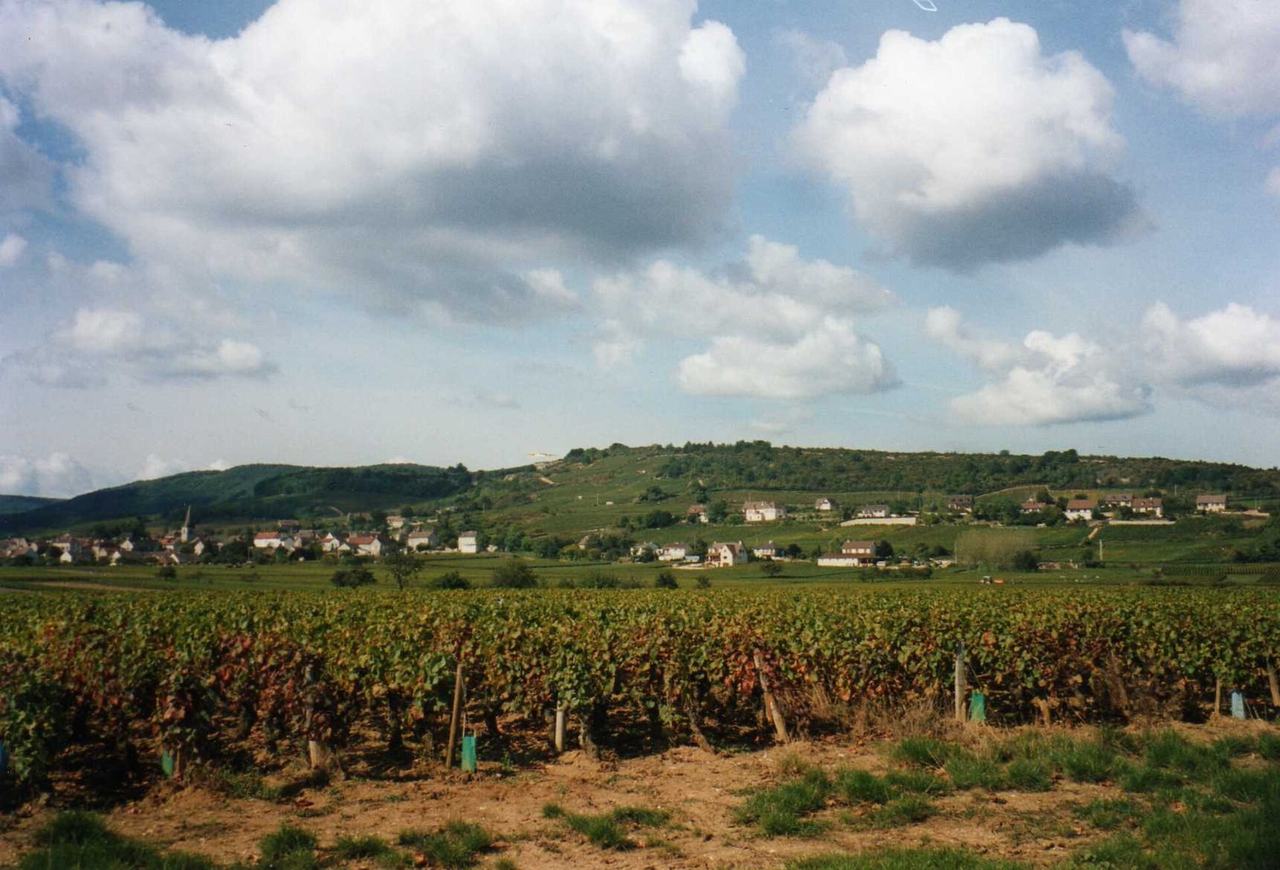 Autumn vines in the foreground, a village along a low ridge behind.