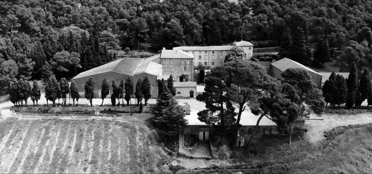 Aerial view of the château and its cellars among cypresses and pine wood, vines in front