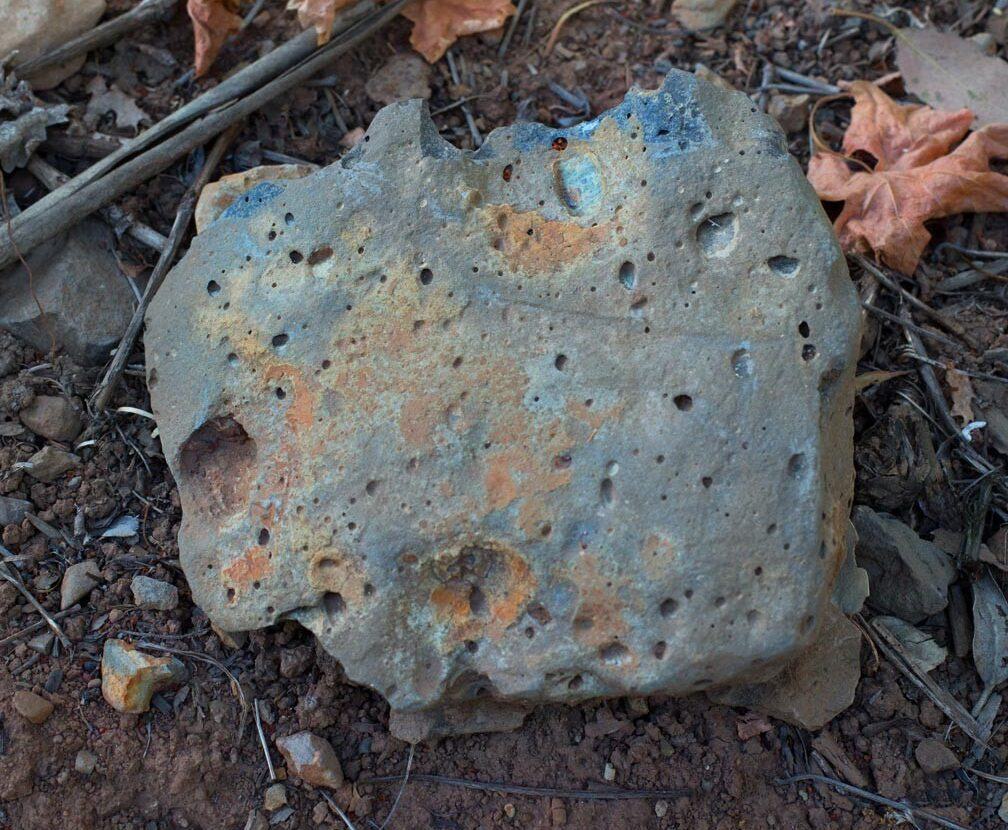 A pale, pitted chunk of rock lies on red-brown dirt among dry leaves.
