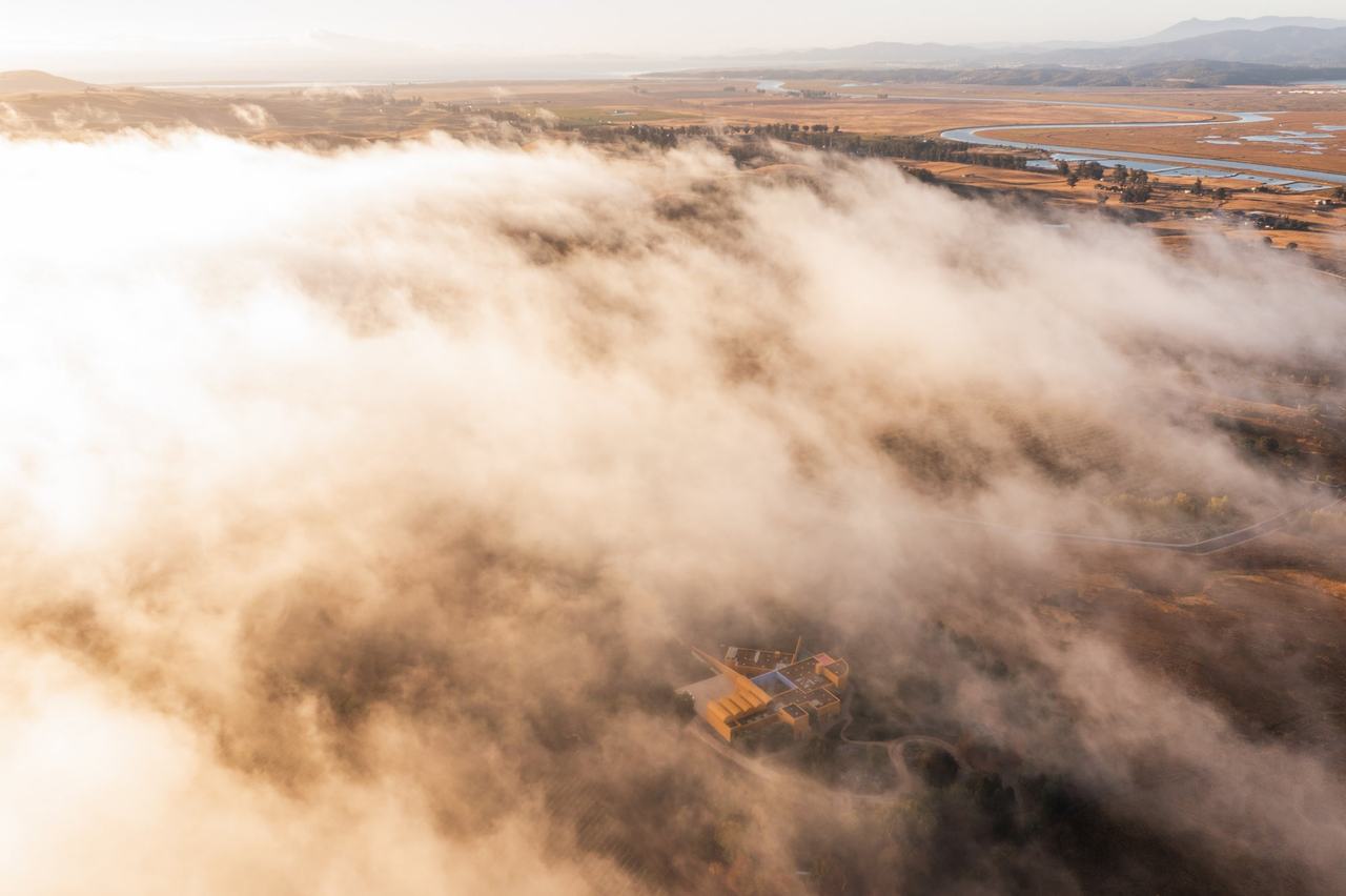 Morning fog rolling over the winery and vineyards, seen from above, with the marshes in the distance.