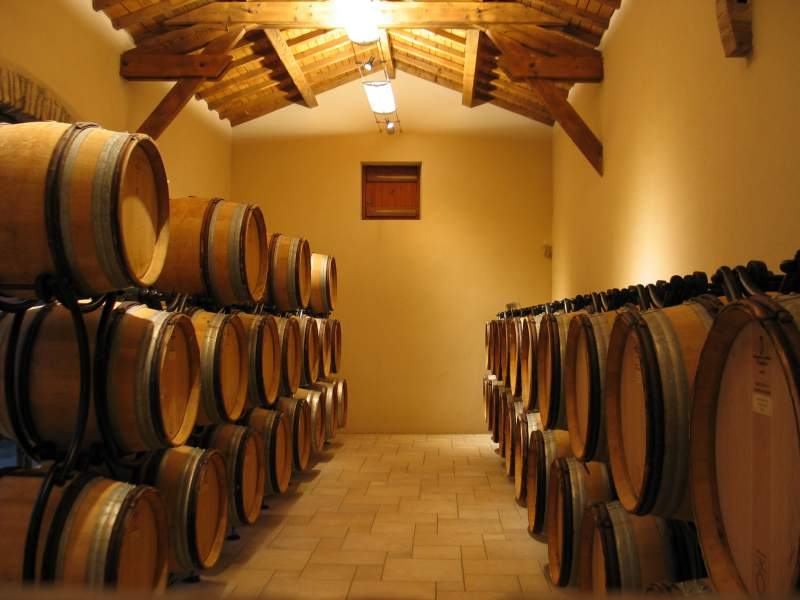 Two rows of oak barrels under a timbered ceiling