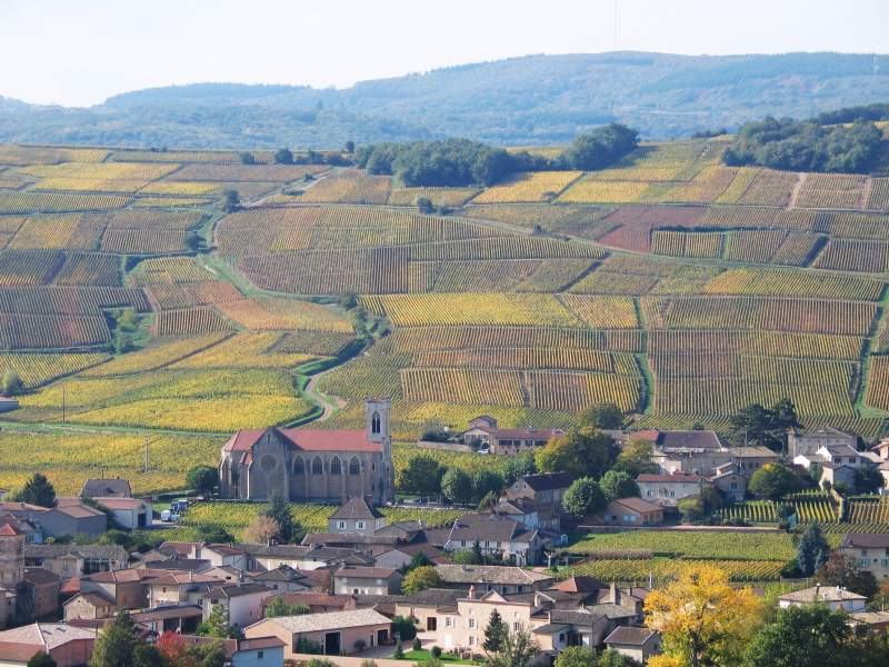 The village of Fuissé and its church below slopes of vines in autumn colour
