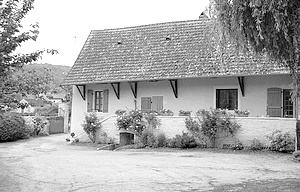 The low white house and courtyard of the domaine, with a weeping willow