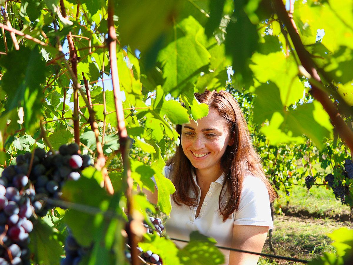 A young woman smiling among vine leaves and dark bunches of Nebbiolo.