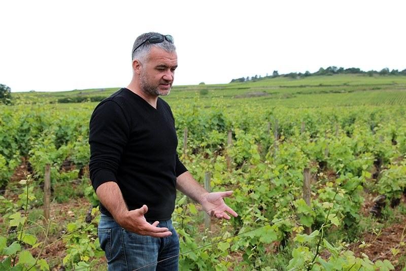Nicolas Rossignol in a black sweater standing in the vines above Volnay in spring, hands open as he explains