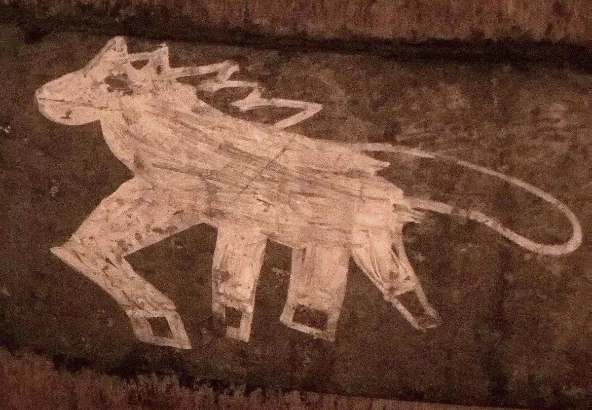 A beast drawn in chalk on the head of a barrel