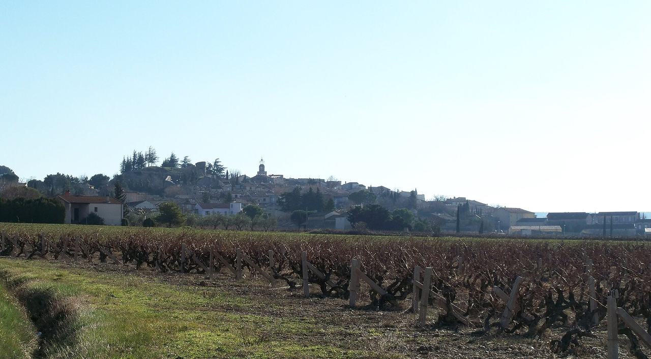 Winter vineyards in front of the hill village of Visan.