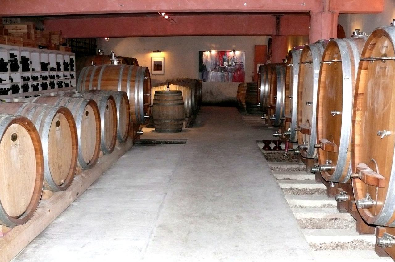 The cellar, with barrels on one side and large upright casks on the other.