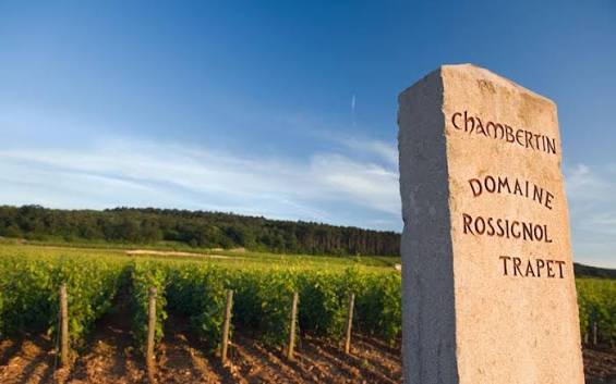 The stone marker at the edge of the vines, carved Chambertin · Domaine Rossignol Trapet, under an evening sky