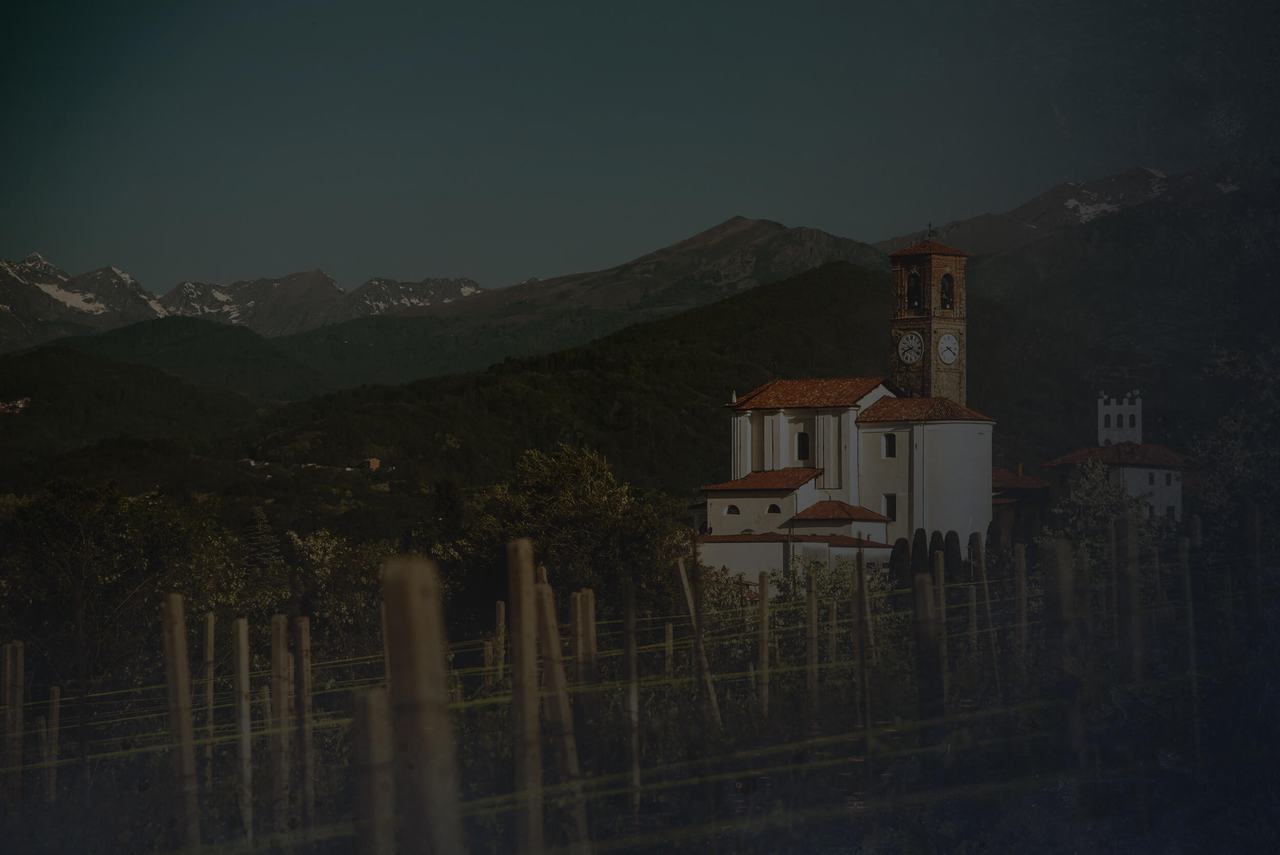 Vine stakes in the foreground, a white church and bell tower, and snow on the Alps behind at dusk