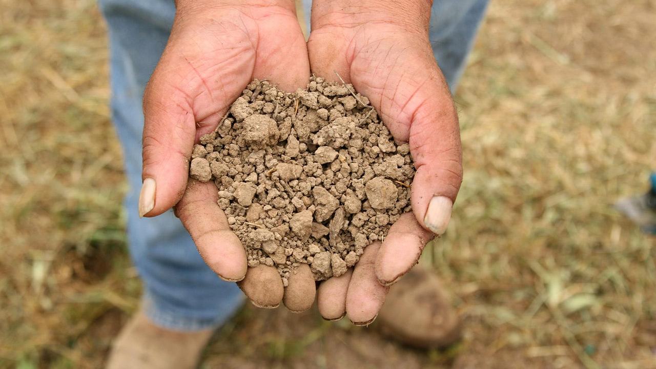 Two cupped hands holding dry, crumbly vineyard soil.