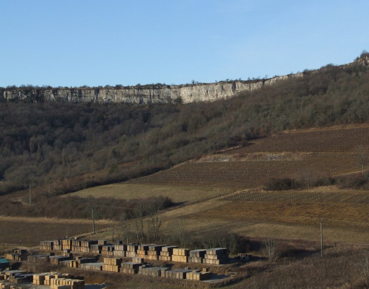 Winter vineyards on the slope below the limestone cliffs of Saint-Romain.