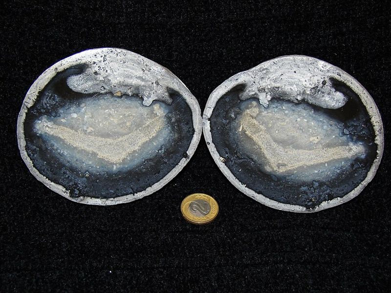 Flint (silex), broken open