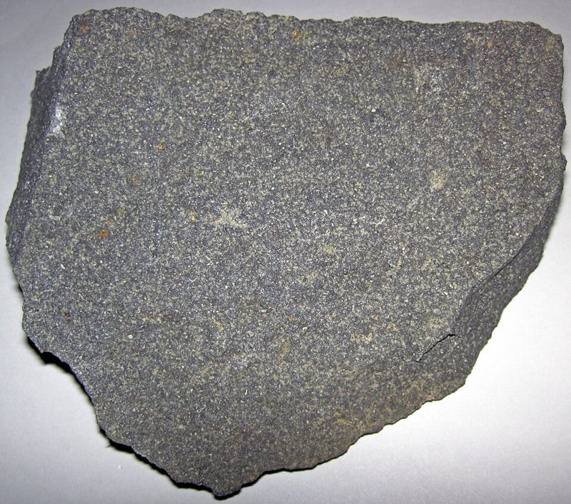 Andesite, a grey volcanic rock like those of the Sonoma Volcanics.